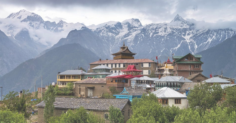 Birding in Himachal 